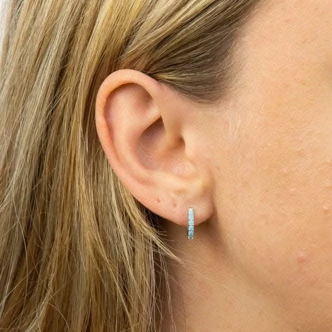 Boucles d'oreilles en cristal turquoise E6050T - Débuts de bijoux